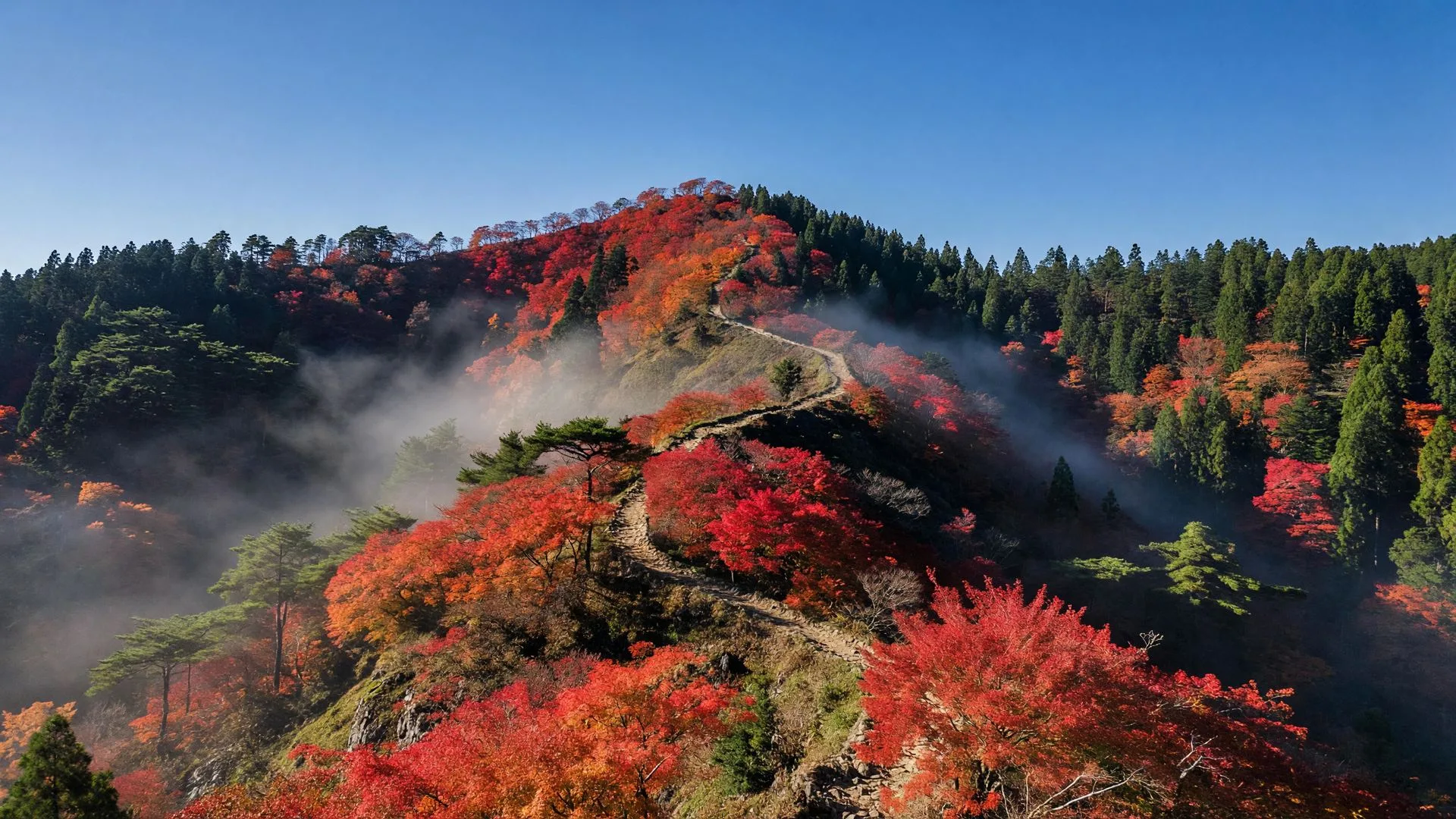 紅葉と霧に包まれた秋の稜線