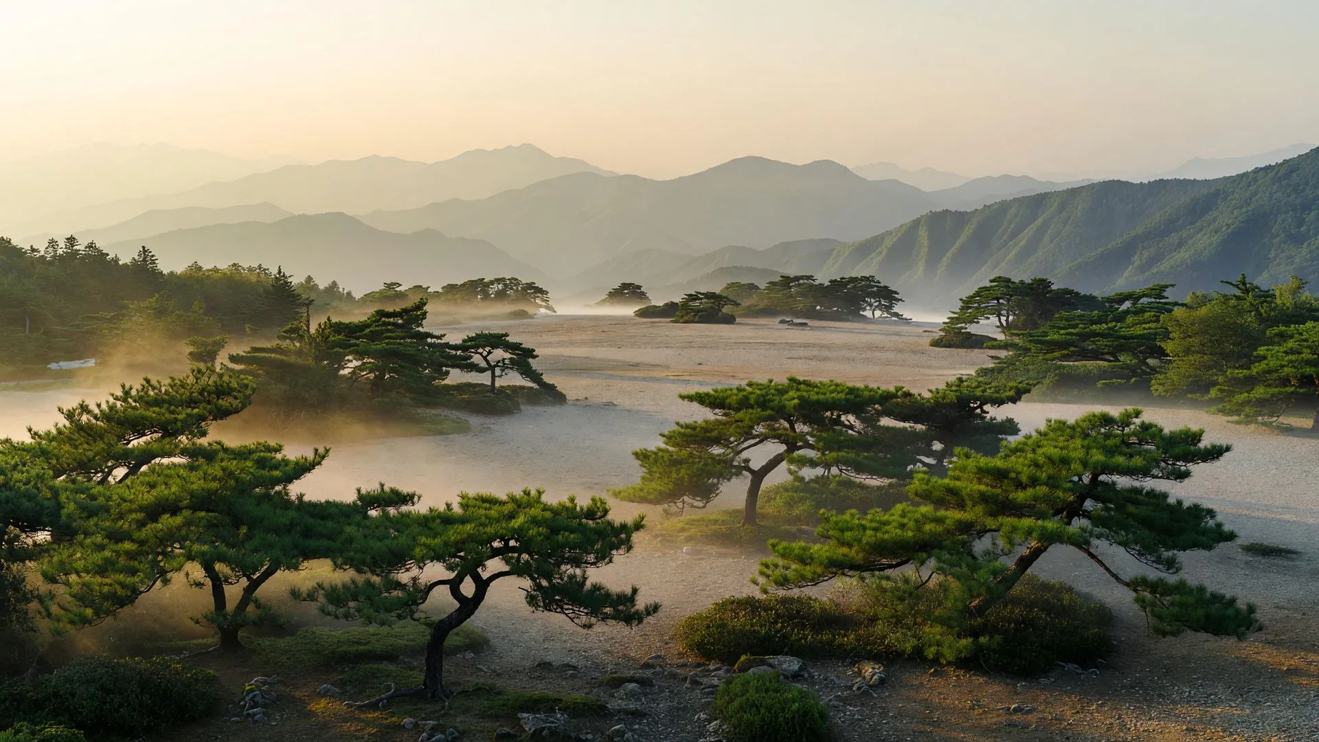 松と霧に包まれた層をなす山の高原